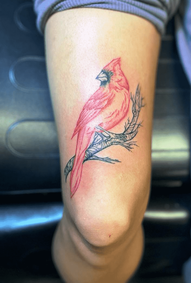 Northern Cardinal Tattoo Photograph