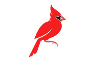 Northern Cardinal Tattoo Ideas