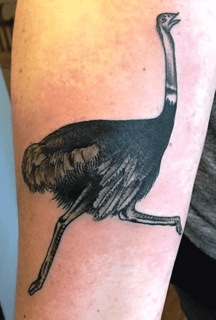 Ostrich Tattoo Picture