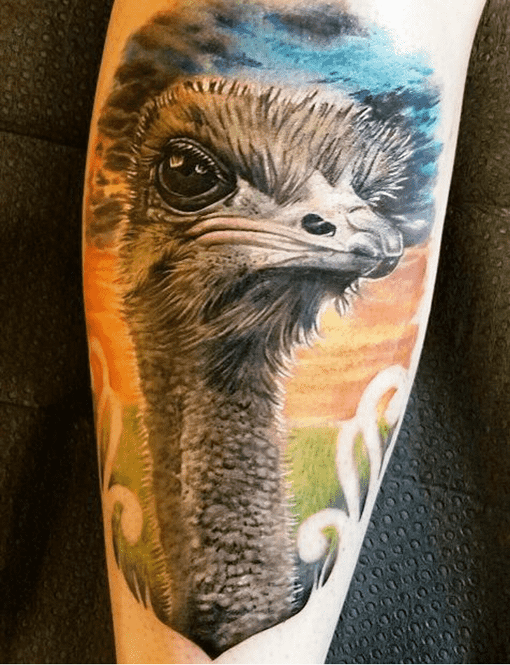 Ostrich Tattoo Photograph