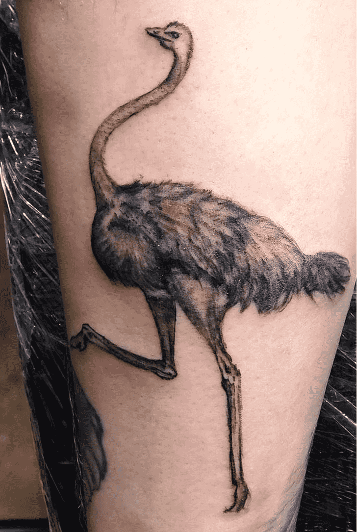 Ostrich Tattoo Ink