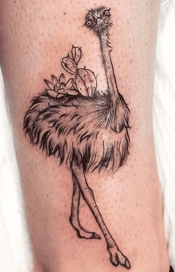 Ostrich Tattoo Photos