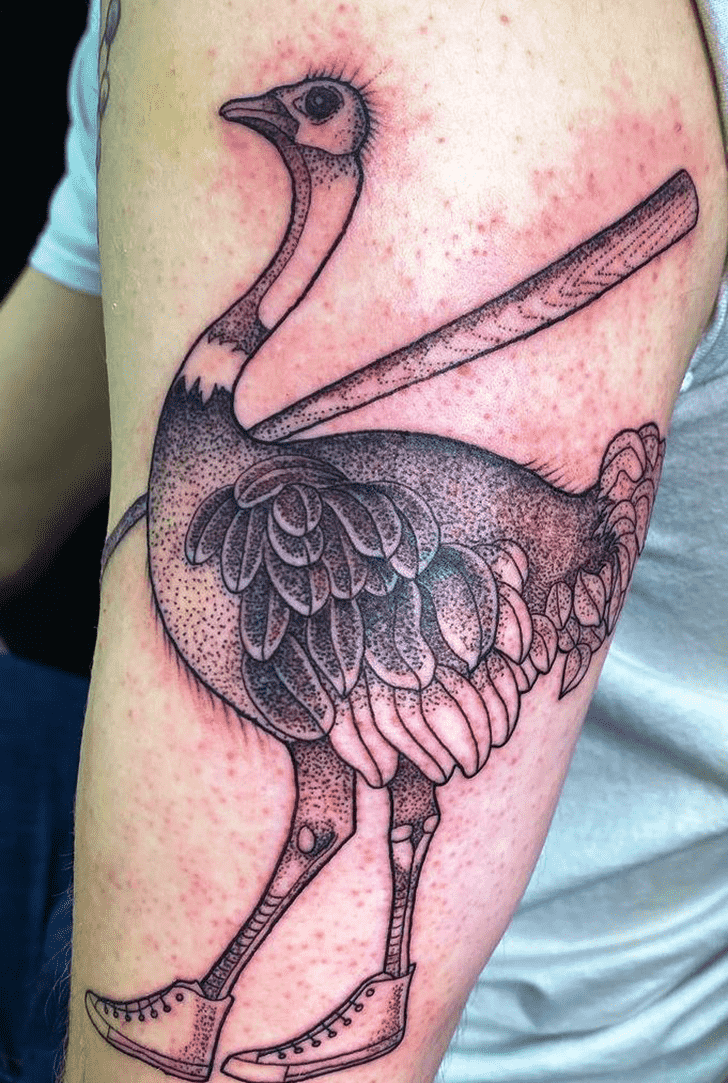 Ostrich Tattoo Photos