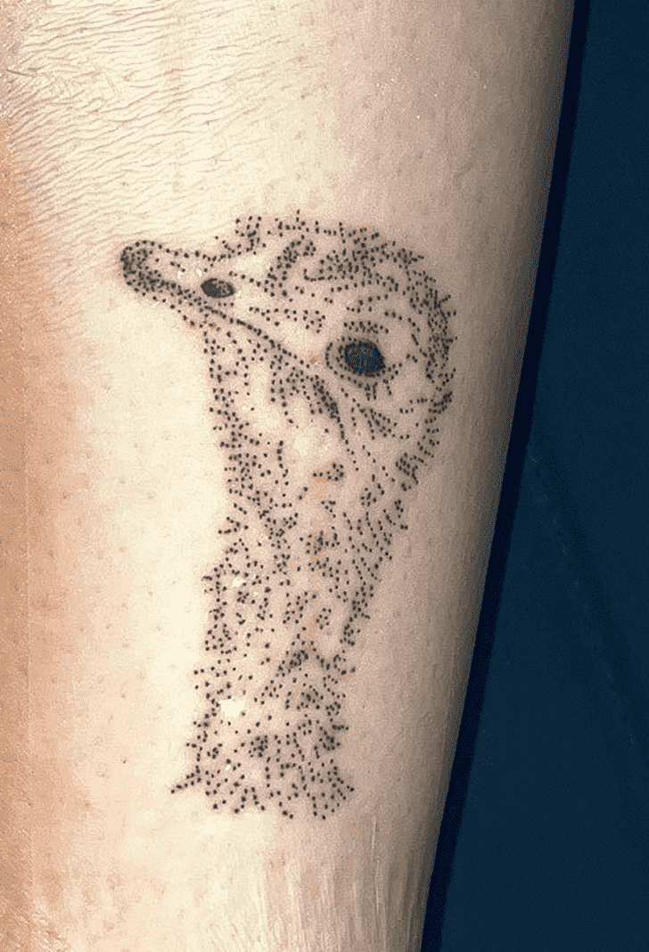 Ostrich Tattoo Shot