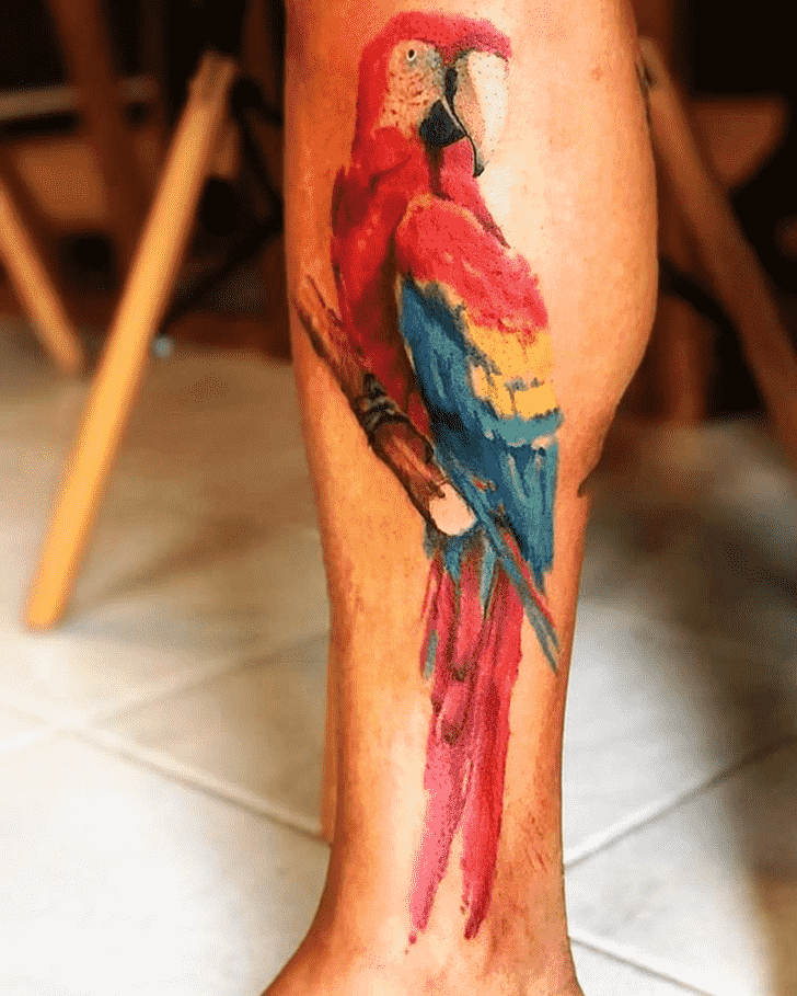 Parrot Tattoo Photos