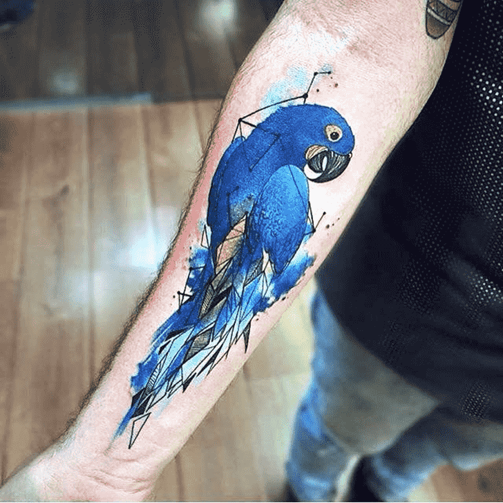 Parrot Tattoo Photograph