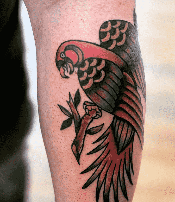 Parrot Tattoo Shot