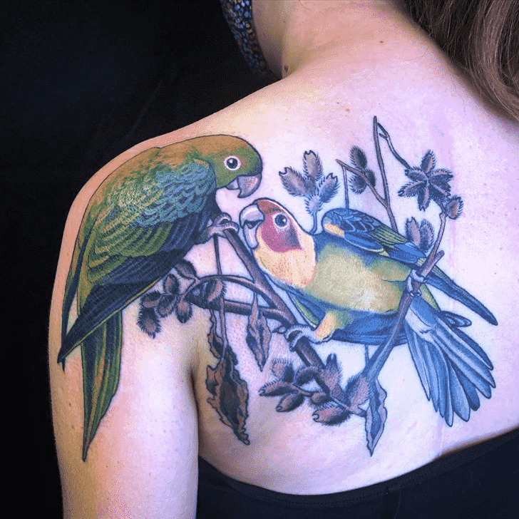 Parrot Tattoo Shot