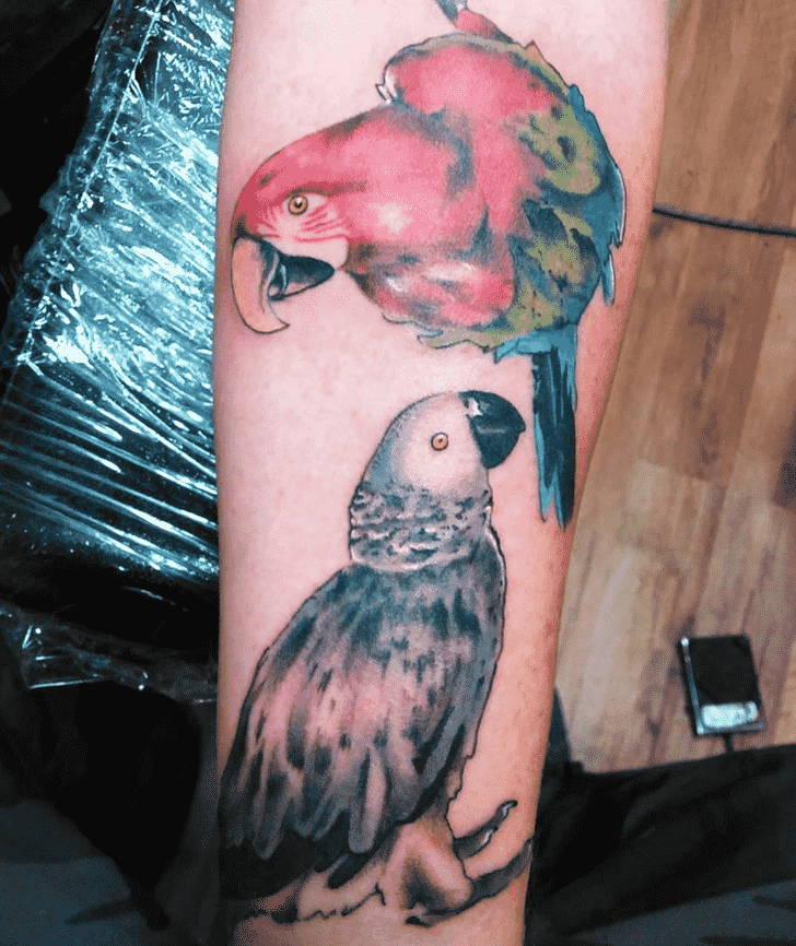 Parrot Tattoo Snapshot