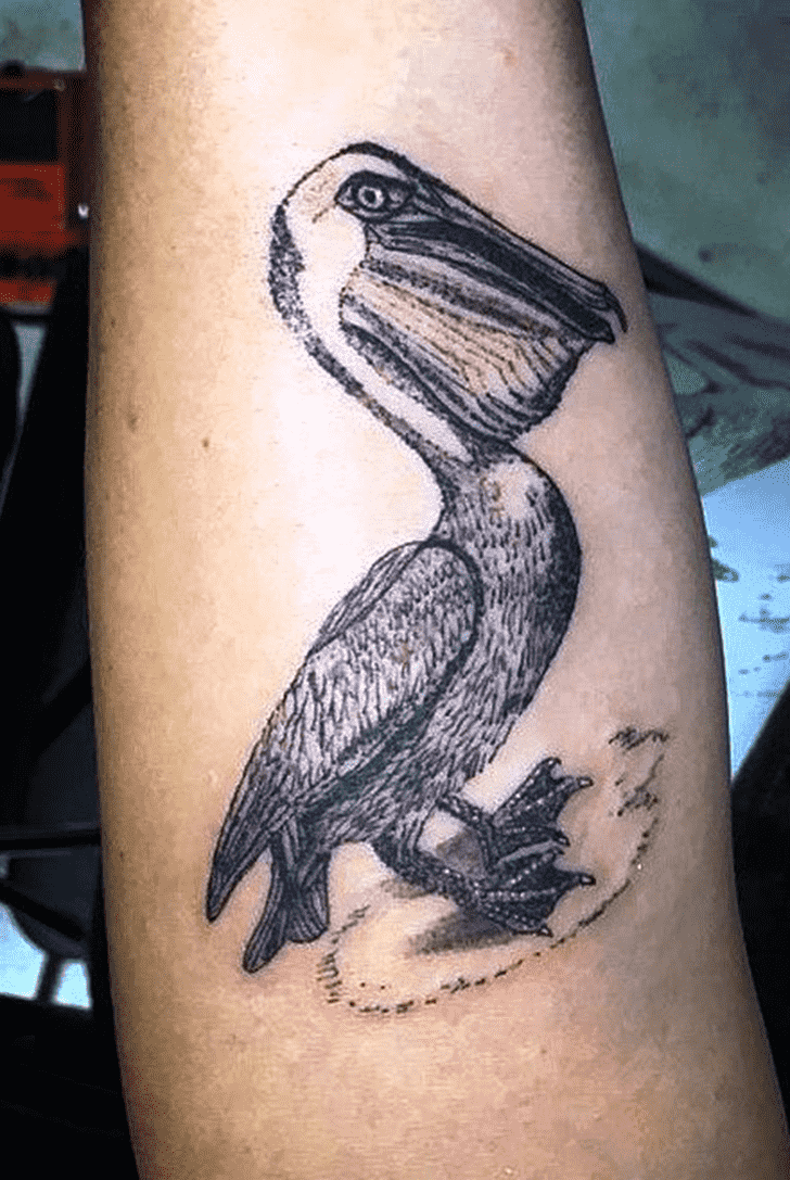 Pelican Tattoo Picture