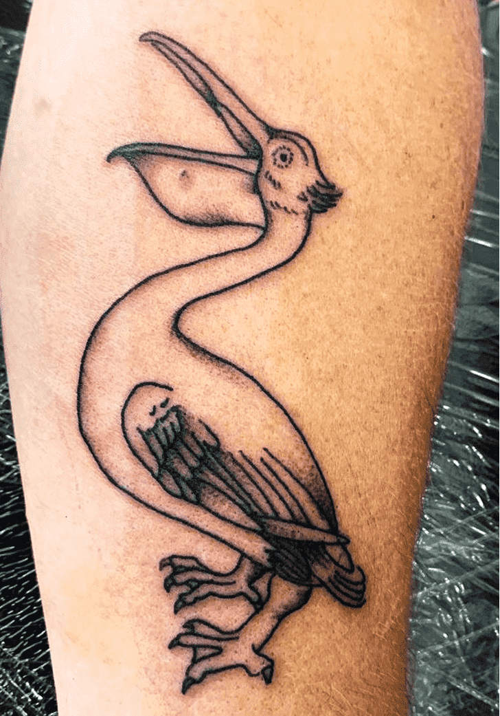 Pelican Tattoo Snapshot