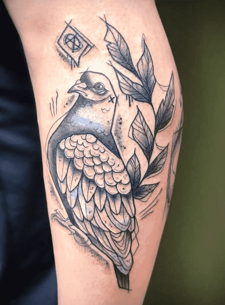 Pigeon Tattoo Picture