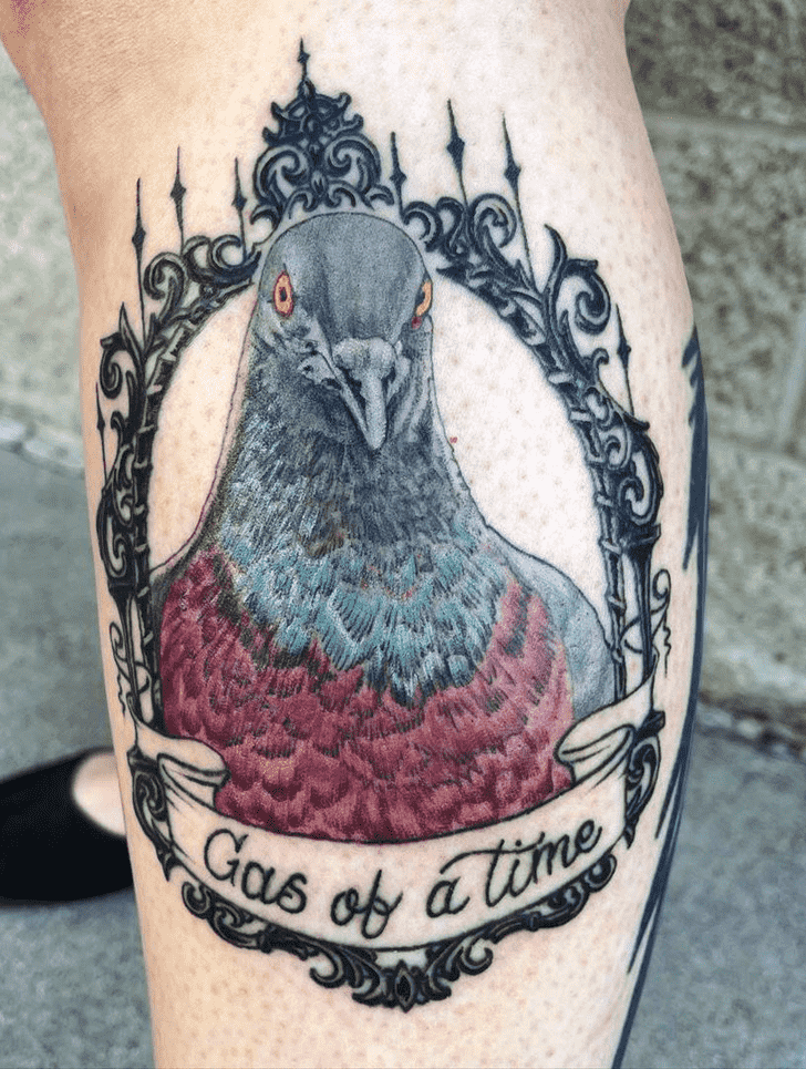 Pigeon Tattoo Photograph