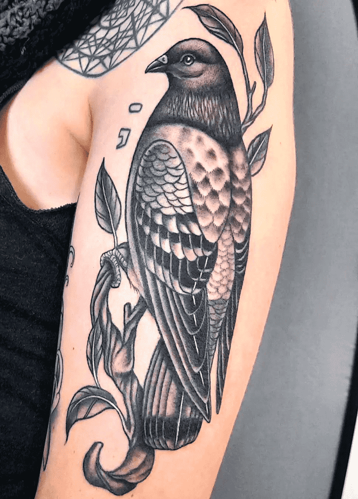 Pigeon Tattoo Portrait