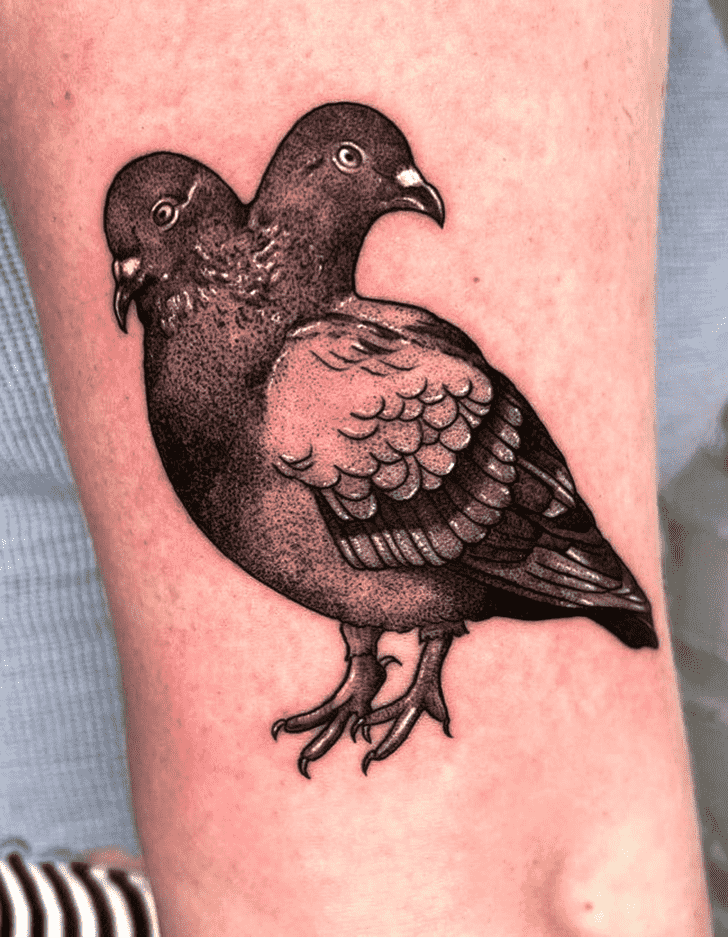 Pigeon Tattoo Ink