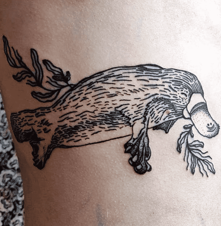 Platypus Tattoo Picture