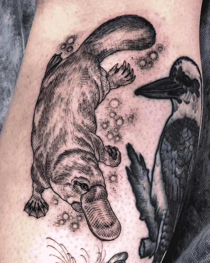 Platypus Tattoo Photo