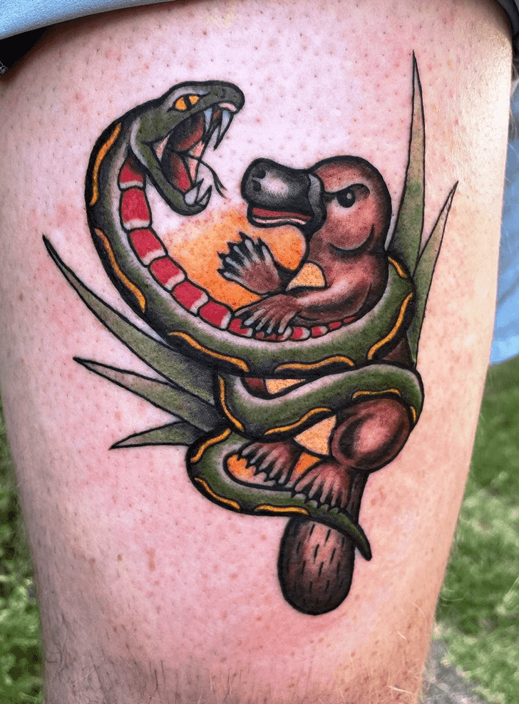 Platypus Tattoo Photos