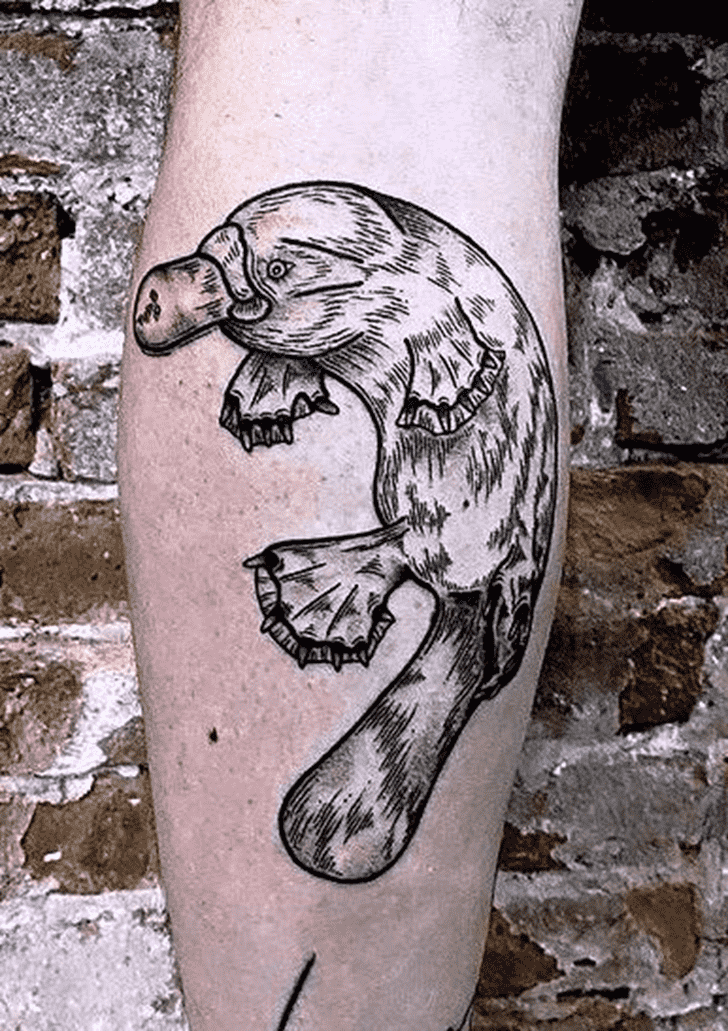 Platypus Tattoo Snapshot