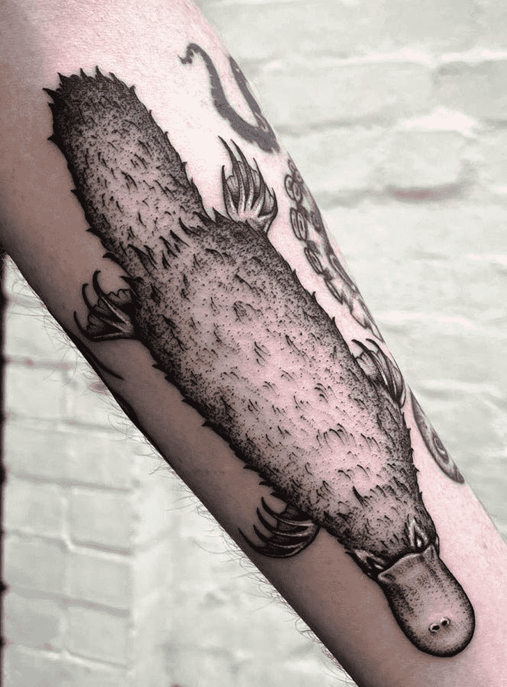 Platypus Tattoo Design Image