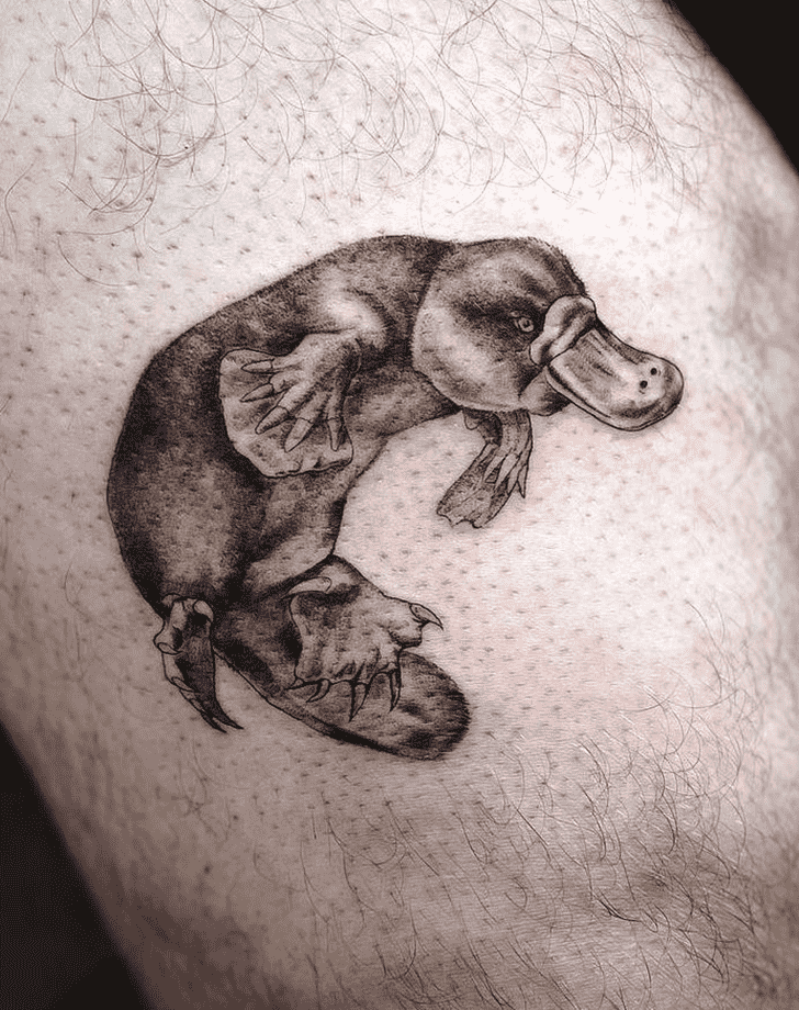 Platypus Tattoo Design Image