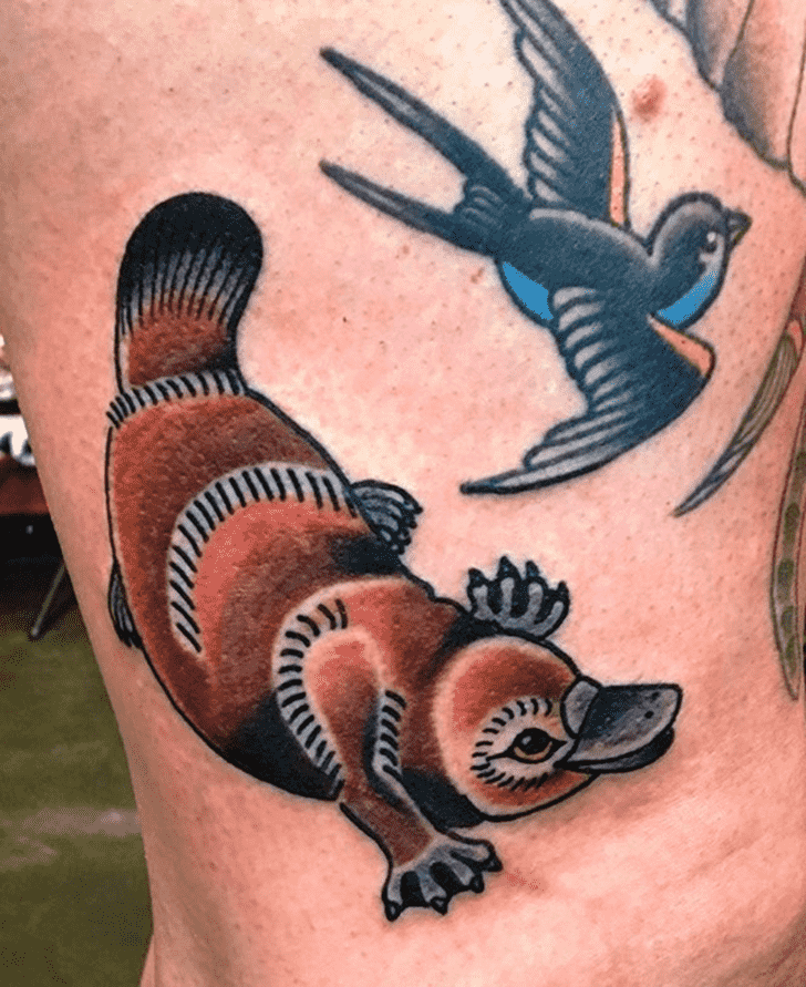 Platypus Tattoo Photo