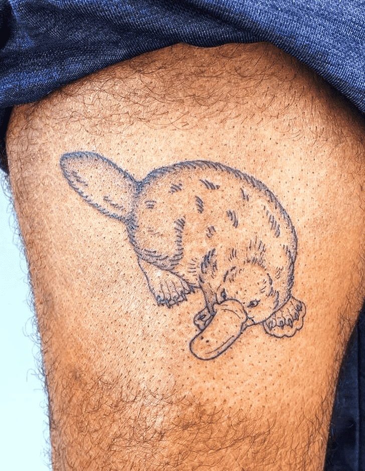 Platypus Tattoo Photos