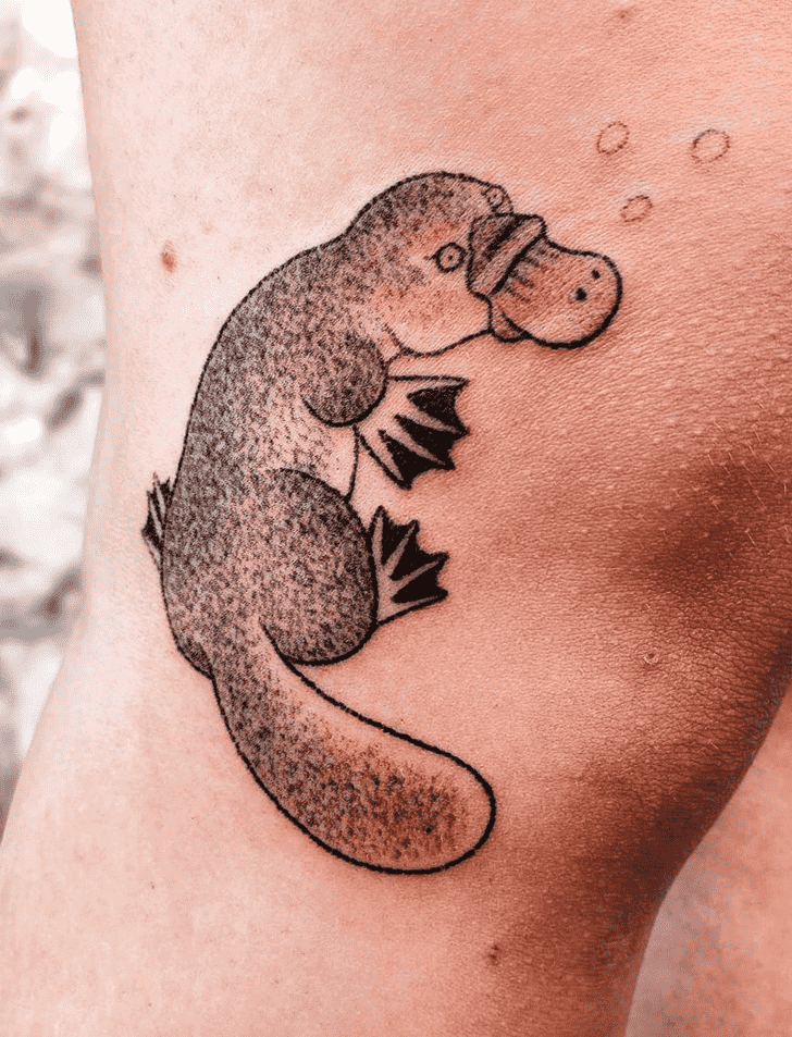 Platypus Tattoo Portrait