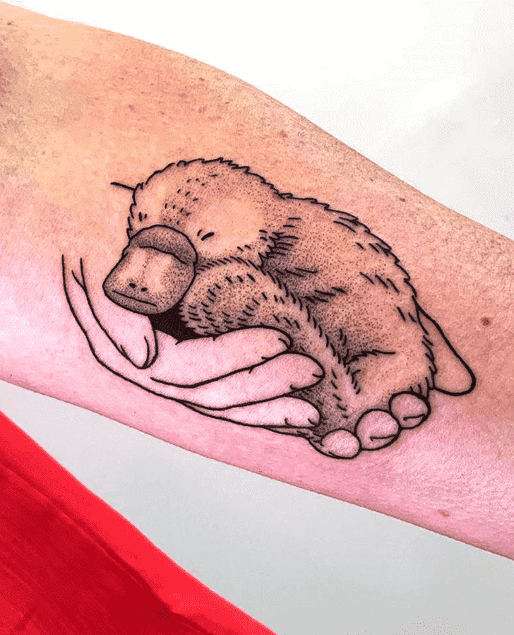 Platypus Tattoo Shot