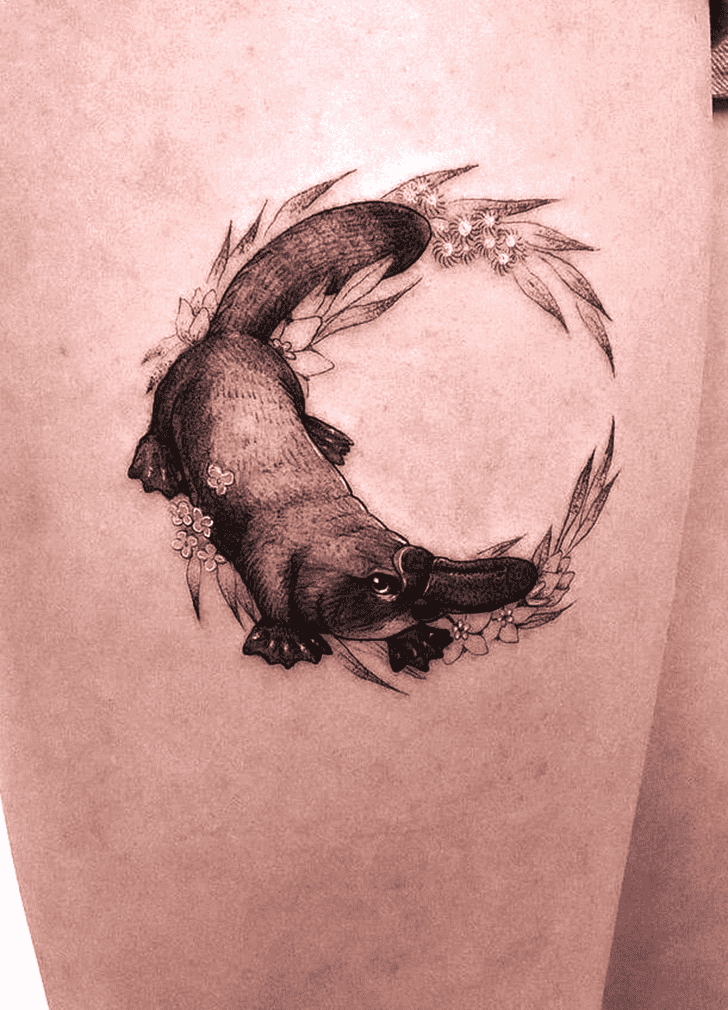 Platypus Tattoo Snapshot