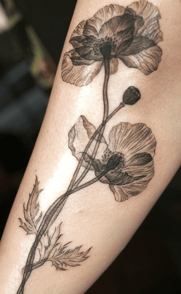 Poppy Tattoo Shot