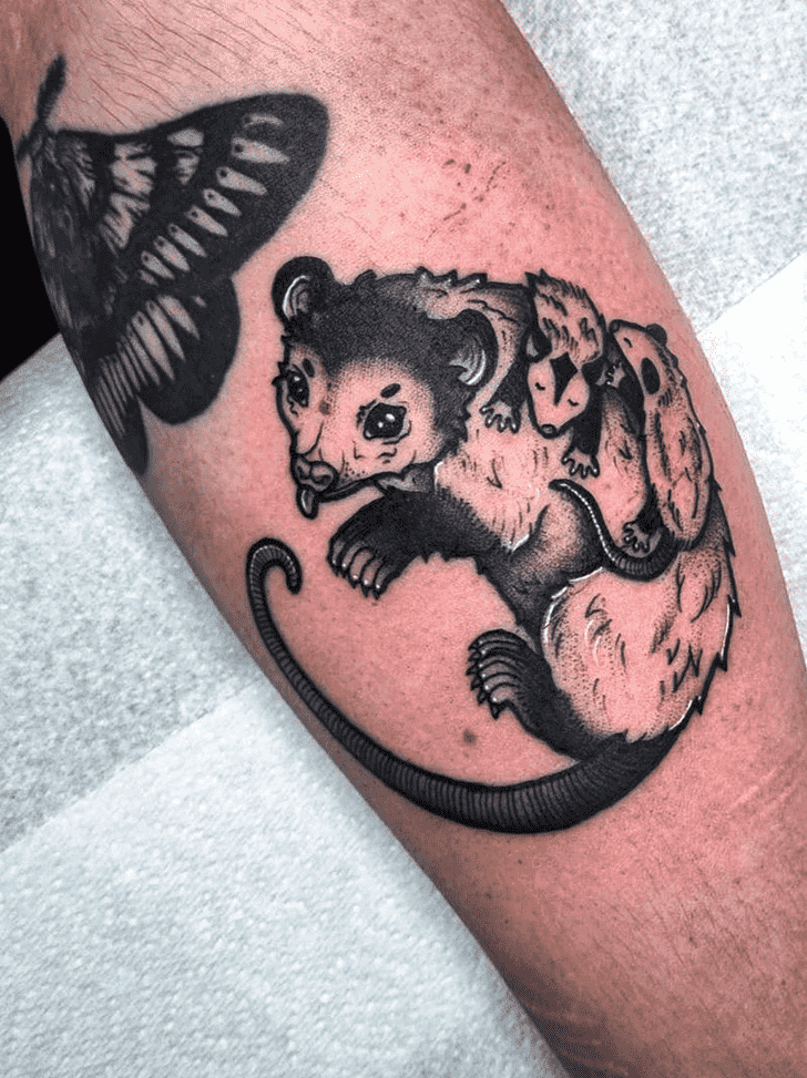 Possum Tattoo Photos