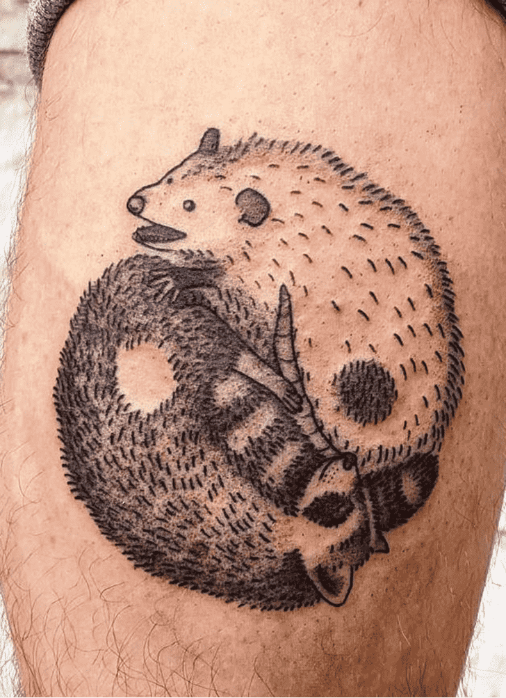 Possum Tattoo Photograph