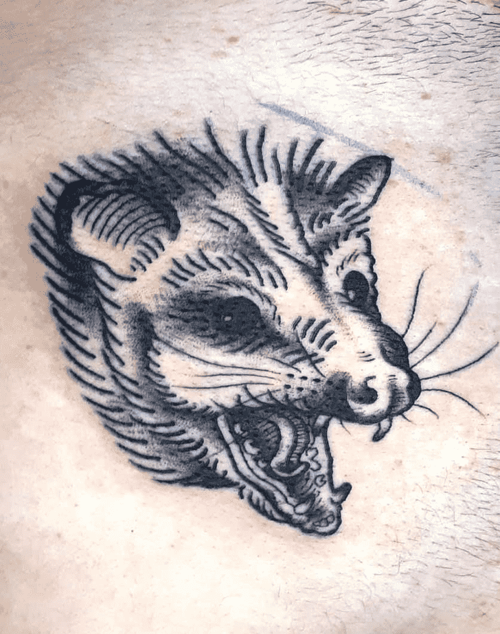 Possum Tattoo Shot