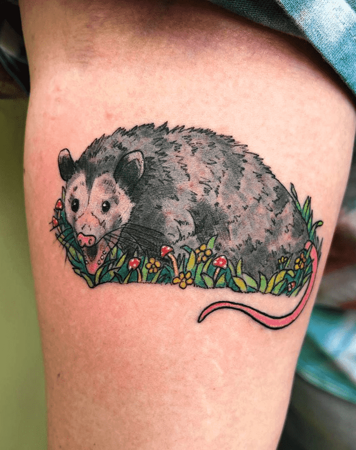 Possum Tattoo Snapshot