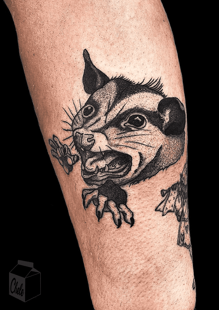 Possum Tattoo Photos