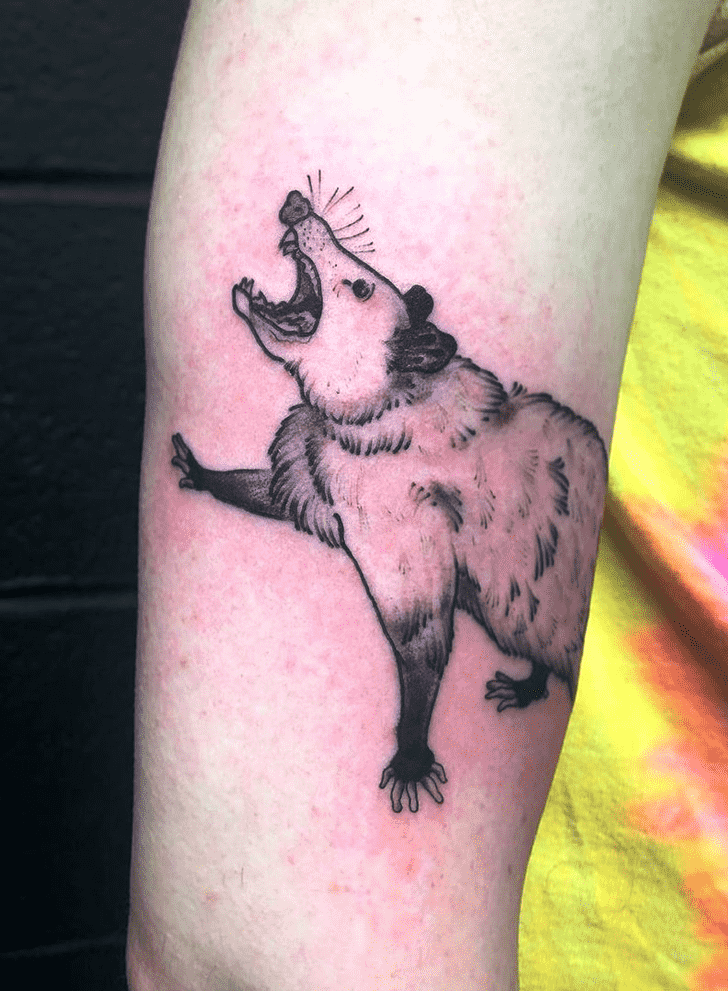 Possum Tattoo Photograph