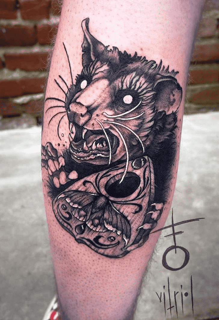 Possum Tattoo Picture