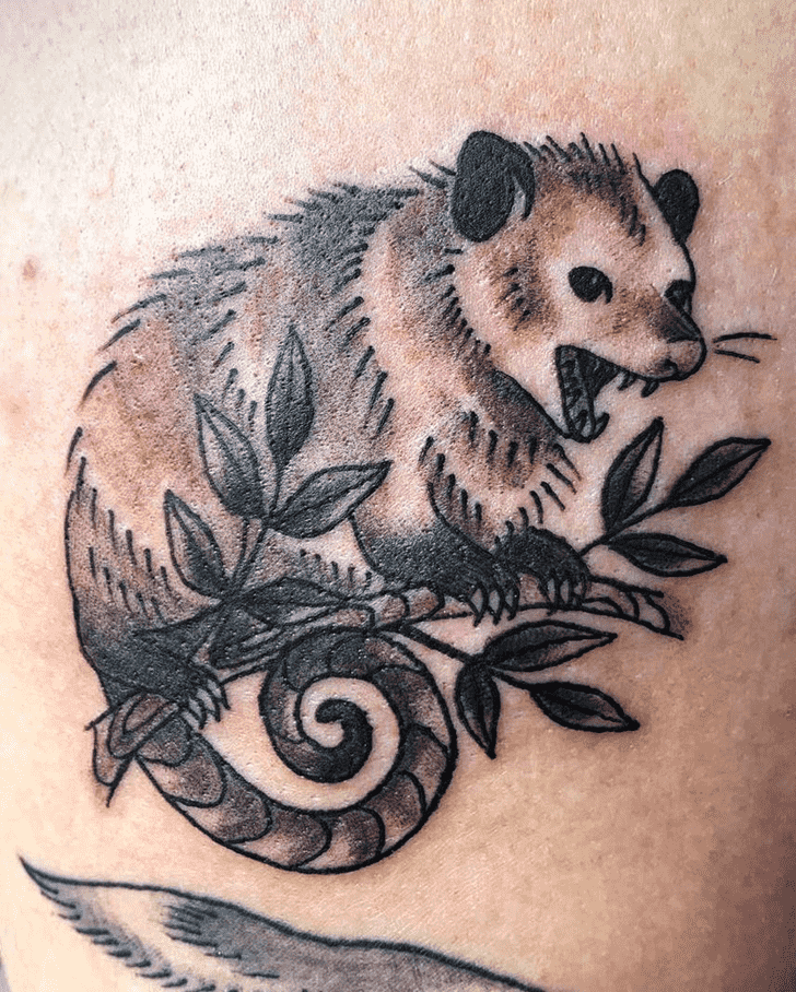 Possum Tattoo Photos