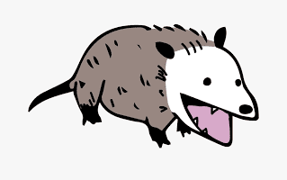 Possum Tattoo Ideas