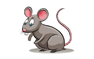 Rat Tattoo Ideas