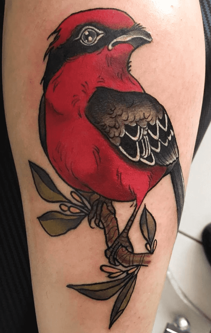 Red Bird Tattoo Picture