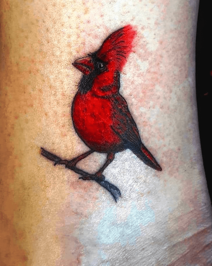 Red Bird Tattoo Photograph