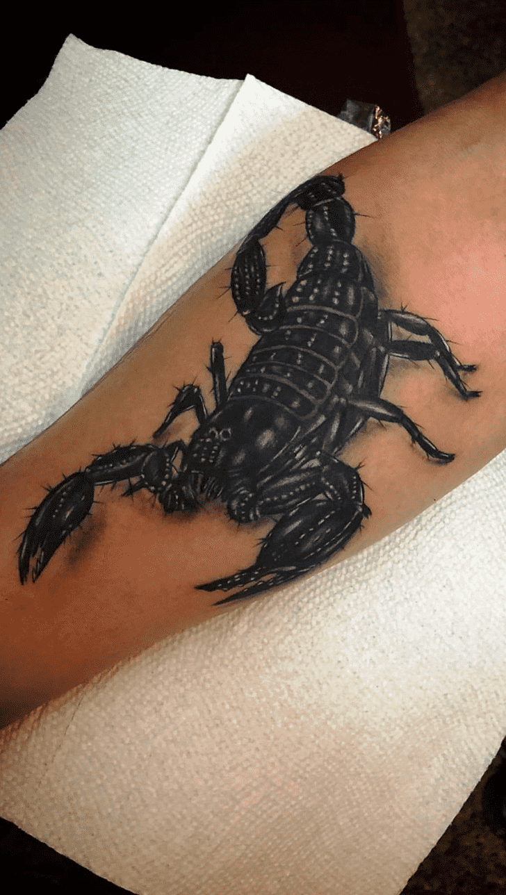 Scorpion Tattoo Figure