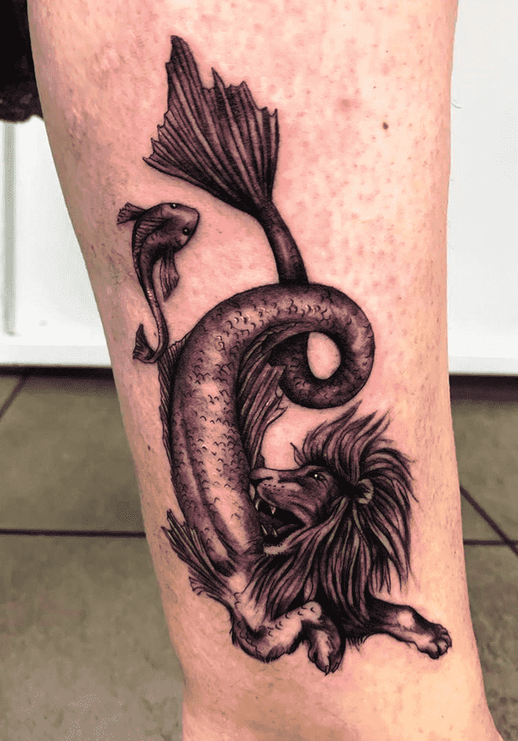 Sea Lion Tattoo Photos