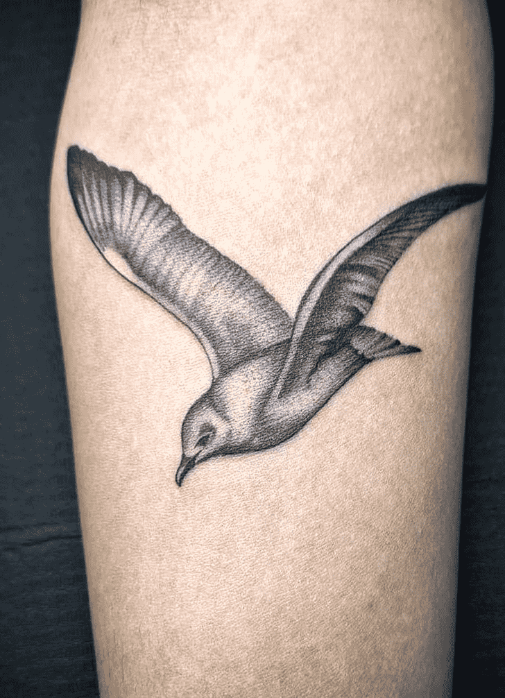 Seagull Tattoo Design Image