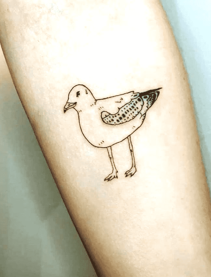 Seagull Tattoo Photo