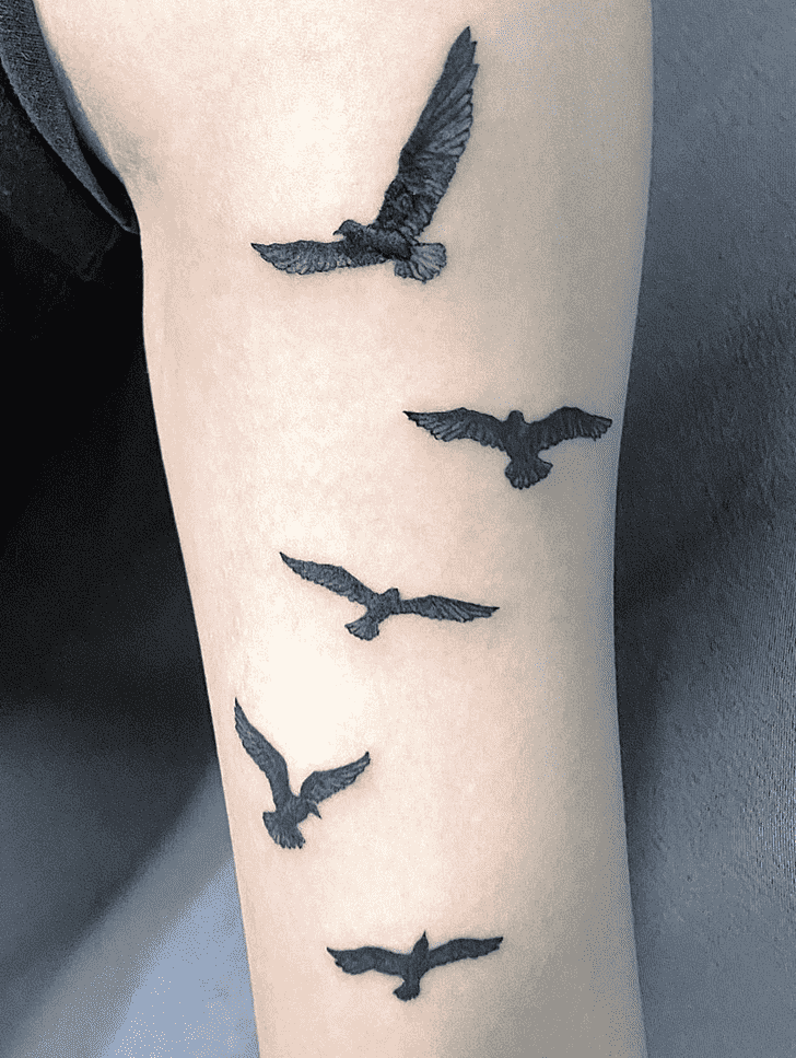 Seagull Tattoo Photos