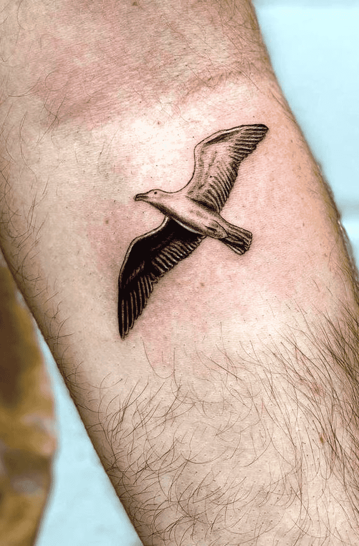 Seagull Tattoo Picture