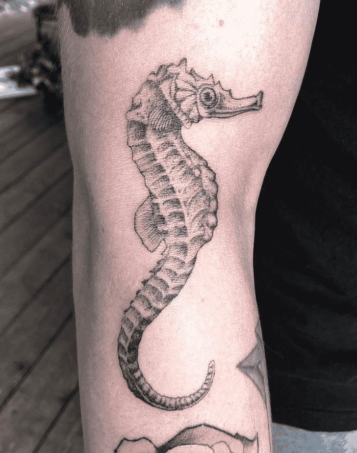 Seahorse Tattoo Photos